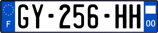 GY-256-HH