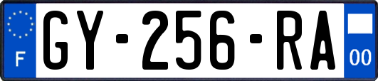 GY-256-RA