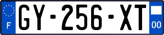 GY-256-XT