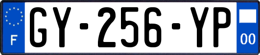GY-256-YP