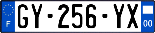 GY-256-YX