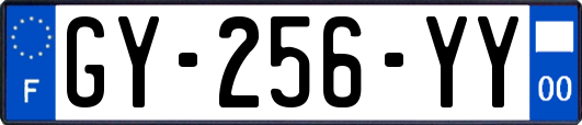 GY-256-YY
