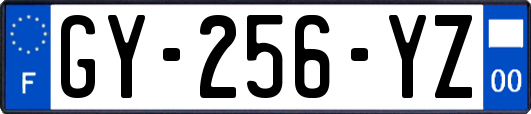 GY-256-YZ