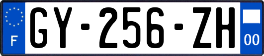 GY-256-ZH