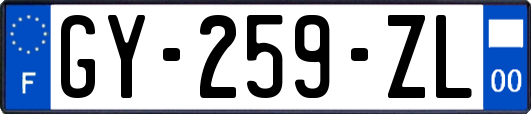 GY-259-ZL