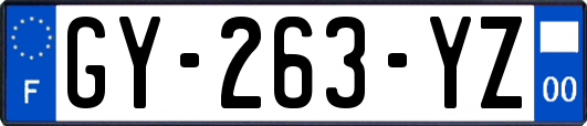 GY-263-YZ