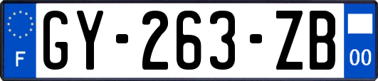 GY-263-ZB