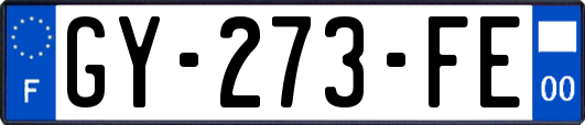 GY-273-FE