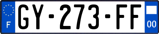 GY-273-FF