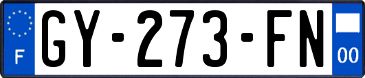 GY-273-FN
