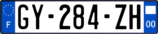 GY-284-ZH