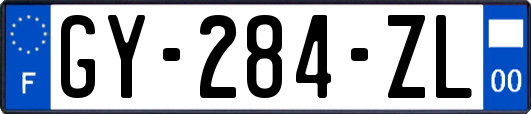 GY-284-ZL