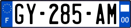 GY-285-AM