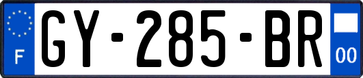 GY-285-BR