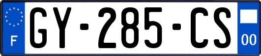 GY-285-CS