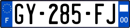 GY-285-FJ