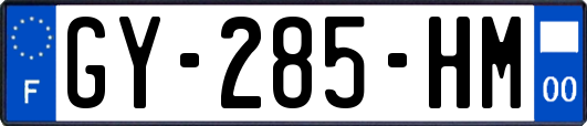 GY-285-HM