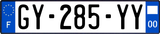 GY-285-YY