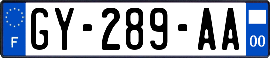 GY-289-AA