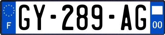 GY-289-AG