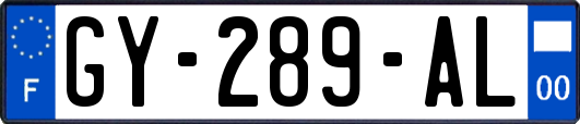 GY-289-AL