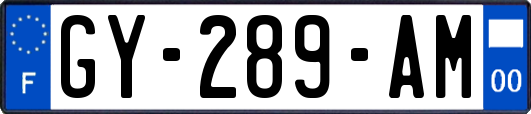 GY-289-AM