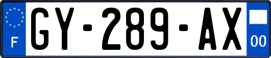 GY-289-AX