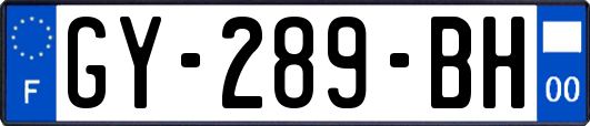 GY-289-BH