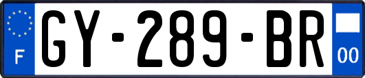 GY-289-BR