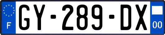 GY-289-DX