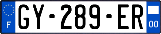 GY-289-ER