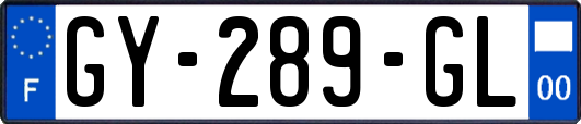 GY-289-GL
