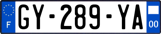 GY-289-YA