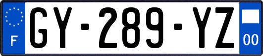 GY-289-YZ