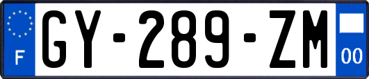 GY-289-ZM