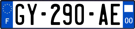 GY-290-AE
