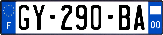 GY-290-BA