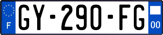GY-290-FG