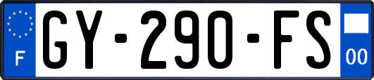 GY-290-FS