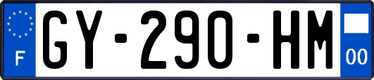 GY-290-HM