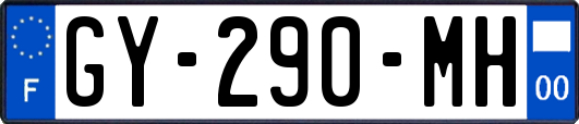 GY-290-MH