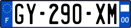 GY-290-XM