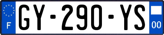 GY-290-YS