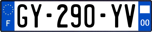 GY-290-YV