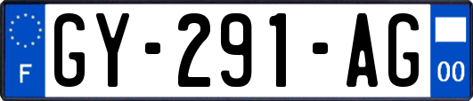 GY-291-AG