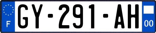 GY-291-AH
