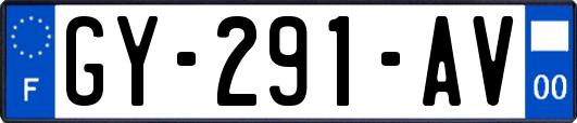 GY-291-AV