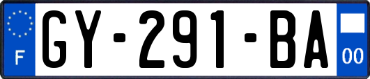GY-291-BA