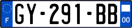 GY-291-BB