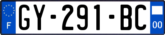 GY-291-BC